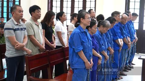 Tuyên án 17 bị cáo vụ vi phạm quy định về an toàn thực phẩm tại Đồ hộp Hạ Long