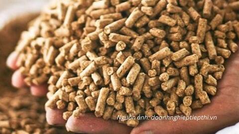 33 thông báo SPS mới, nhiều quy định đáng chú ý với hàng xuất khẩu