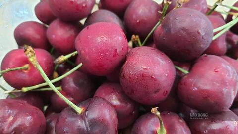 Loại quả quen thuộc giúp hạ axit uric và giảm đau nhức khớp