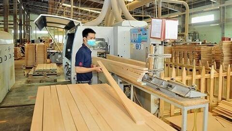 Thị trường gỗ nội địa cần một "luật chơi" minh bạch