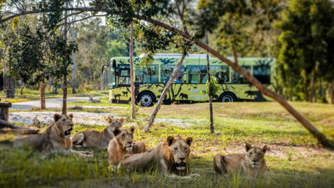 Nắm giữ “kỷ lục kép” thế giới - Vinpearl Safari Phú Quốc “khủng” cỡ nào?