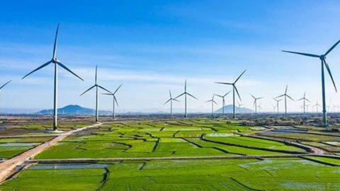 Kosy thoái sạch vốn tại công ty điện có tài sản gần 1.200 tỷ đồng