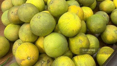 Cách sử dụng cùi bưởi để hỗ trợ kiểm soát đường huyết và mỡ máu