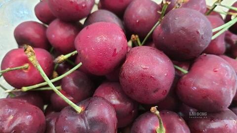 Loại quả hỗ trợ hạ axit uric và kiểm soát đường huyết