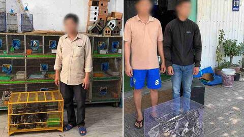 Công an phát hiện 290 cá thể chim không rõ nguồn gốc ở Khánh Hòa