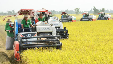 Giải cơn khát vốn dài hạn cho doanh nghiệp nông nghiệp