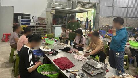 Thu giữ hơn 5 tấn chân gà không rõ nguồn gốc ở Lạng Sơn