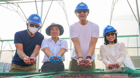 Giá cà phê hôm nay 27/10/2026: Đi ngang, dưới mốc 90.000 đồng/kg