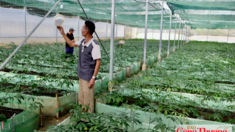 Lai Châu tăng tốc phát triển kinh tế, quyết tâm đạt tăng trưởng hai con số