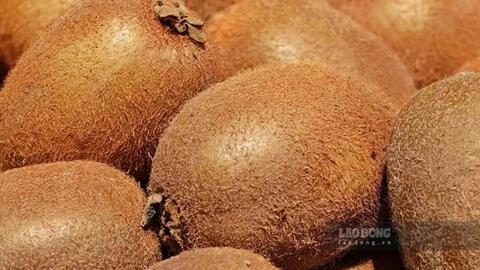 5 loại trái cây có thể hỗ trợ kiểm soát axit uric