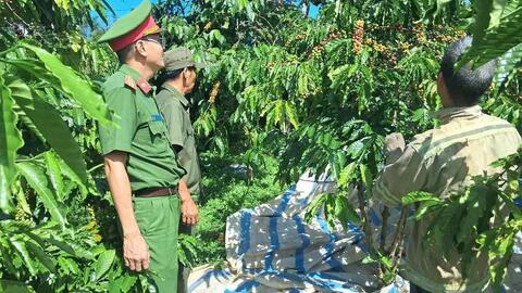 Công an Lâm Đồng ngày đêm tuần tra, bảo đảm an toàn mùa cà phê