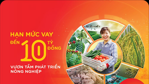 MSB cho vay phát triển nông nghiệp với hạn mức tới 10 tỷ đồng