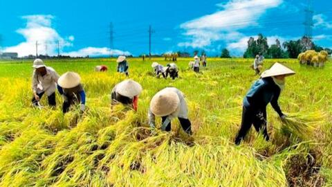 Kinh tế hợp tác