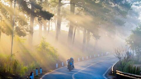 Du lịch Đà Lạt nói không với chửi bới, lăng mạ và phân biệt đối xử