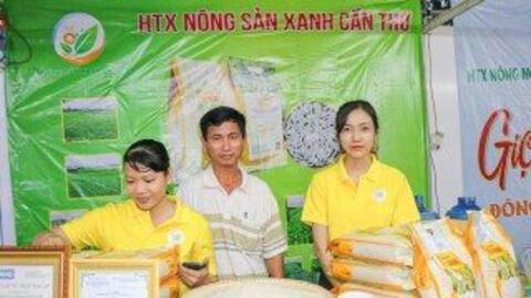 Ngành Ngân hàng TP. Cần Thơ đồng hành hỗ trợ nguồn lực về vốn cho hợp tác xã