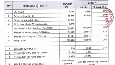 Vietbank đặt mục tiêu tăng vốn hơn 1.000 tỷ, kiểm soát nợ xấu dưới 2%