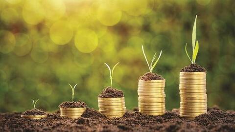 Thực trạng tín dụng xanh tại các ngân hàng thương mại Việt Nam