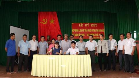 Đồng Tháp: Ký kết sản xuất và tiêu thụ lúa giữa Tập đoàn Tân Long và HTX Trường Phát