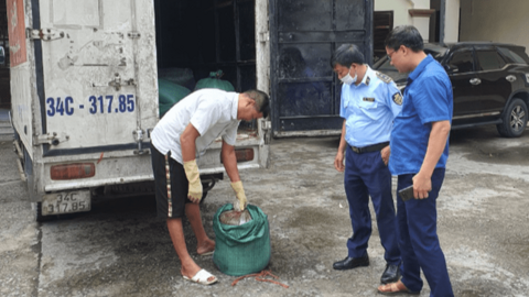 Phát hiện gần 2 tấn mỡ lỏng đang bốc mùi hôi thối tại Hải Dương