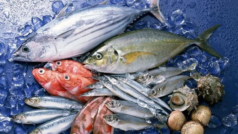 Phê duyệt Đề án bảo vệ môi trường trong hoạt động thủy sản giai đoạn 2021 – 2030