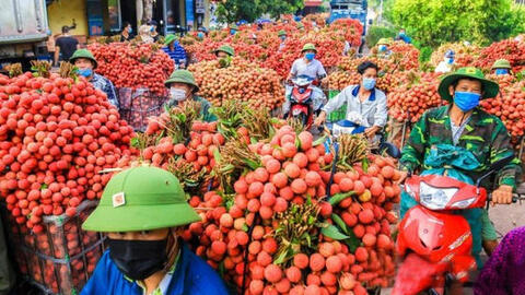 Đồng bộ các giải pháp hỗ trợ nông dân, phục hồi phát triển nông nghiệp, nông thôn bền vững