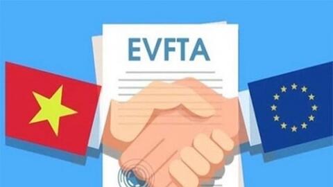 Doanh nghiệp Việt tận dụng khá hiệu quả EVFTA