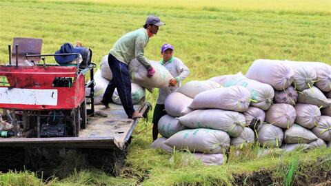 Năm 2025, ngành nông nghiệp đặt mục tiêu có 25% sản phẩm phân bón hữu cơ