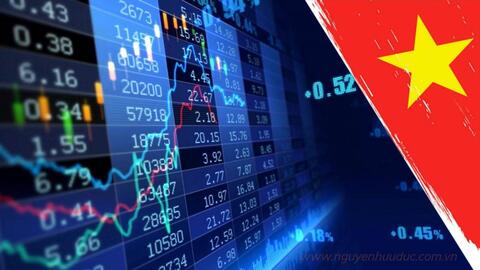 Thị phần môi giới trên HOSE quý IV/2022: VPS sụt giảm mạnh, Rồng Việt "thế chân" FPTS lần đầu lọt top