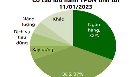 Năm 2023 là giai đoạn đẩy mạnh các hoạt động tái cấu trúc trên thị trường trái phiếu doanh nghiệp