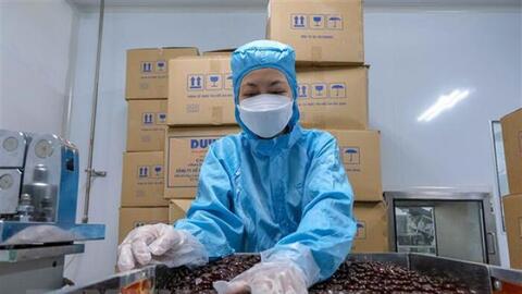 Dự báo tăng trưởng lợi nhuận doanh nghiệp dược giảm tốc trong 2023