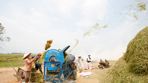 Tiếp tục vai trò ‘bệ đỡ’, GDP khu vực nông nghiệp quý I tăng trưởng 2,52%