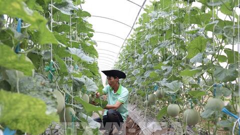 Kinh tế tuần hoàn: “Động lực” mới cho tăng trưởng