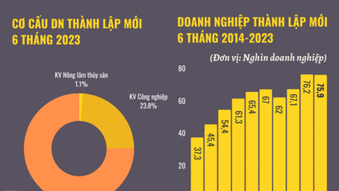 Infographic: Bức tranh doanh nghiệp 6 tháng đầu năm 2023 và những con số nổi bật