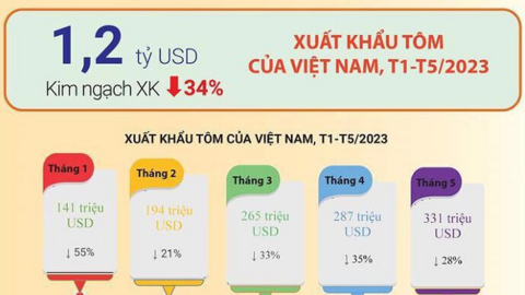 Xuất khẩu tôm tháng 5/2023: Tín hiệu khả quan từ thị trường ngách, thị trường lớn dự báo nhích nhẹ về cuối năm