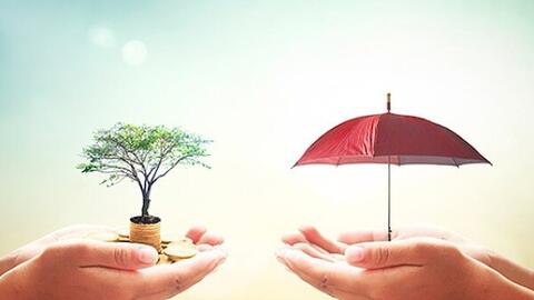 Prudential vượt qua Manulife, Dai-ichi Life trở thành công ty dẫn đầu về khai thác mới bảo hiểm nửa đầu năm 2023