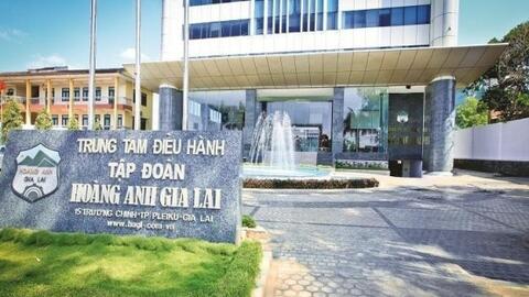 Cổ đông HAGL tiếp tục thông qua phương án huy động 1.300 tỷ đồng