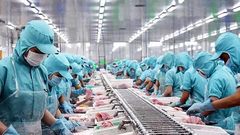 9 tháng, xuất khẩu thuỷ sản sang thị trường nào thu về tỷ USD?