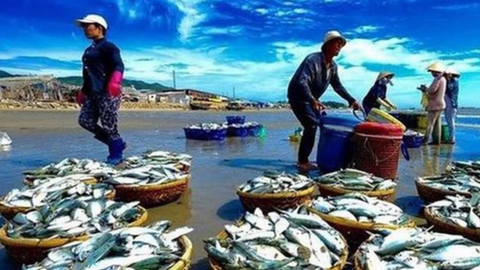 Xuất khẩu phục hồi, thuỷ sản "sáng cửa" dịp cuối năm