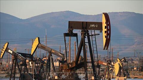 Các thị trường 'nằm im' chờ Mỹ công bố số liệu lạm phát