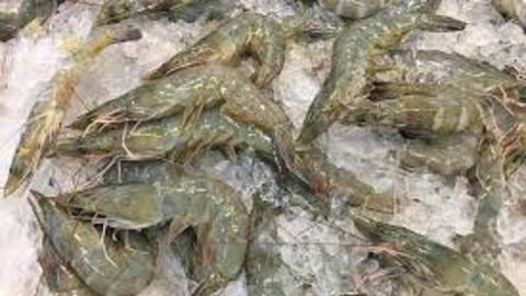 Xuất hiện 'mối lo mới' với ngành tôm châu Á