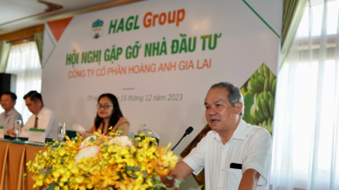 Hoàng Anh Gia Lai tiếp tục hành trình thoát nợ