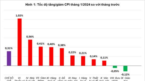 Yếu tố nào thúc đẩy CPI tháng đầu năm 2024 tăng 0,31%?