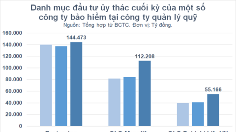 Danh mục đầu tư hàng chục tỷ USD của các công ty bảo hiểm đang được phân bổ thế nào?