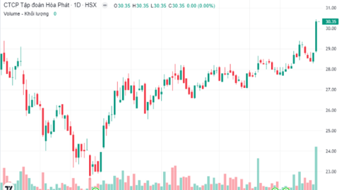 HPG nổi sóng, tài sản gia đình tỷ phú Trần Đình Long tăng hơn 600 triệu USD