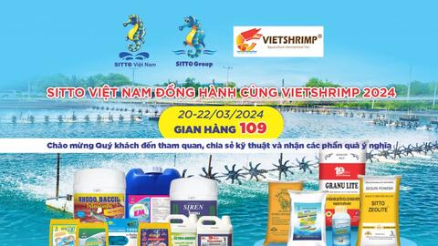 Sitto Việt Nam đồng hành cùng Vietshirmp 2024