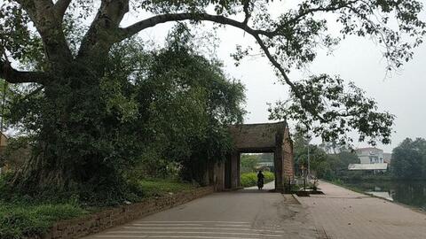 Làng cổ Đường Lâm hút khách vì áp dụng hướng đi mới trong quảng bá du lịch