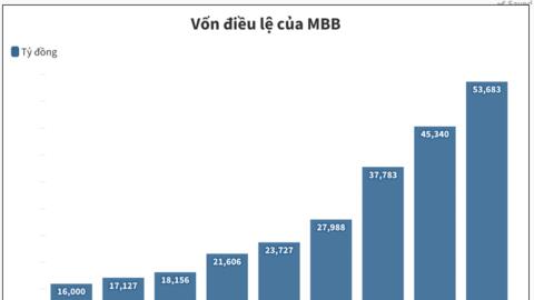 Cổ tức ngân hàng: Nơi duy trì 13 năm liên tiếp, nơi 9 năm liền ‘lặng thinh’