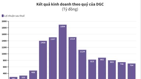 Hoá chất Đức Giang (DGC) có kế hoạch gì với hơn 9.500 tỷ tiền nhàn rỗi hiện có?