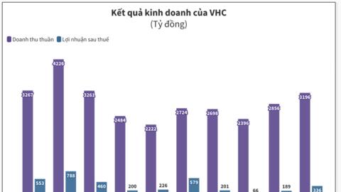 Kiên trì giữ 3 mã BĐS trong danh mục đầu tư chứng khoán, Vĩnh Hoàn phải trích lập dự phòng 31 tỷ