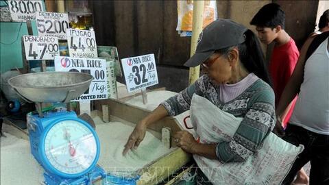 Nhu cầu nhập khẩu gạo từ Philippines tăng mạnh